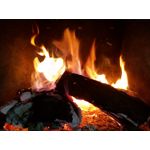 Zdjęcia użytkowników Sharp Aquos V