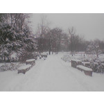 Zdjęcia użytkowników Siemens CX65 Zdjęcia użytkowników Siemens CX65