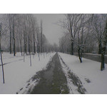 Zdjęcia użytkowników Siemens CX65 Zdjęcia użytkowników Siemens CX65