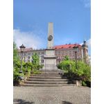 ZDJĘCIA Z TEGO TELEFONU