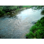 Zdjęcia użytkowników Sony Ericsson C510 Zdjęcia użytkowników Sony Ericsson C510