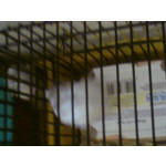 Zdjęcia użytkowników Sony Ericsson C510 Zdjęcia użytkowników Sony Ericsson C510