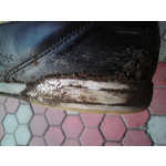 Zdjęcia użytkowników Sony Ericsson C510 Zdjęcia użytkowników Sony Ericsson C510