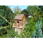 Zdjęcia użytkowników Sony Ericsson C510 Zdjęcia użytkowników Sony Ericsson C510