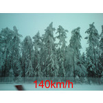 Zdjęcia użytkowników Sony Ericsson C510 Zdjęcia użytkowników Sony Ericsson C510