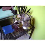 Zdjęcia użytkowników Sony Ericsson C510 Zdjęcia użytkowników Sony Ericsson C510