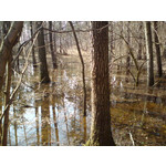 Zdjęcia użytkowników Sony Ericsson C510 Zdjęcia użytkowników Sony Ericsson C510