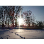 Zdjęcia użytkowników Sony Ericsson C901 Zdjęcia użytkowników Sony Ericsson C901