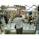 Zdjęcia użytkowników Sony Ericsson C901 Zdjęcia użytkowników Sony Ericsson C901