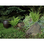 Zdjęcia użytkowników Sony Ericsson C901 Zdjęcia użytkowników Sony Ericsson C901