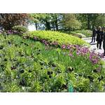 Zdjęcia użytkowników Sony Ericsson C901 Zdjęcia użytkowników Sony Ericsson C901