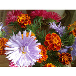 Zdjęcia użytkowników Sony Ericsson C901 Zdjęcia użytkowników Sony Ericsson C901