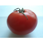 Zdjęcia użytkowników Sony Ericsson C901 Zdjęcia użytkowników Sony Ericsson C901