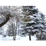 Zdjęcia użytkowników Sony Ericsson C901 Zdjęcia użytkowników Sony Ericsson C901