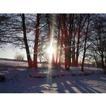 Zdjęcia użytkowników Sony Ericsson C901 Zdjęcia użytkowników Sony Ericsson C901