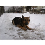 Zdjęcia użytkowników Sony Ericsson C901 Zdjęcia użytkowników Sony Ericsson C901