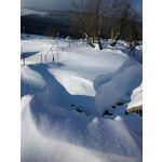 Zdjęcia użytkowników Sony Ericsson C901 Zdjęcia użytkowników Sony Ericsson C901