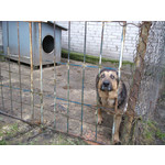 Zdjęcia użytkowników Sony Ericsson C901 Zdjęcia użytkowników Sony Ericsson C901