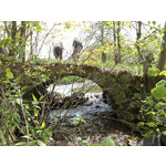 Zdjęcia użytkowników Sony Ericsson C901 Zdjęcia użytkowników Sony Ericsson C901