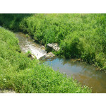 Zdjęcia użytkowników Sony Ericsson C901 Zdjęcia użytkowników Sony Ericsson C901