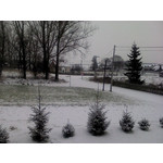 ZDJĘCIA Z TEGO TELEFONU