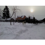 Zdjęcia użytkowników Sony Ericsson Cedar