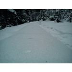 Zdjęcia użytkowników Sony Ericsson Elm