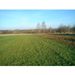 Zdjęcia użytkowników Sony Ericsson Elm