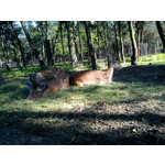 Zdjęcia użytkowników Sony Ericsson Elm