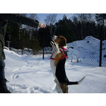 Zdjęcia użytkowników Sony Ericsson Elm