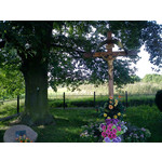 Zdjęcia użytkowników Sony Ericsson Elm