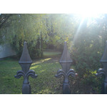 Zdjęcia użytkowników Sony Ericsson Elm