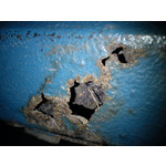 Zdjęcia użytkowników Sony Ericsson Elm