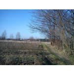 Zdjęcia użytkowników Sony Ericsson Elm