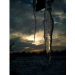 Zdjęcia użytkowników Sony Ericsson Elm