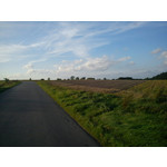 Zdjęcia użytkowników Sony Ericsson Elm