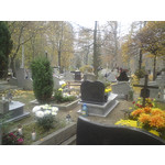 Zdjęcia użytkowników Sony Ericsson G900