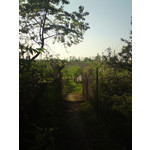 Zdjęcia użytkowników Sony Ericsson G900