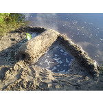 Zdjęcia użytkowników Sony Ericsson Hazel