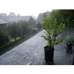 Zdjęcia użytkowników Sony Ericsson Hazel