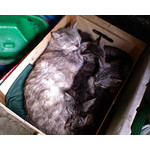 ZDJĘCIA Z TEGO TELEFONU