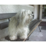 Zdjęcia użytkowników Sony Ericsson K510i