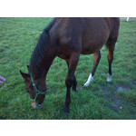 Zdjęcia użytkowników Sony Ericsson K510i