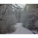 Zdjęcia użytkowników Sony Ericsson K510i