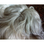 Zdjęcia użytkowników Sony Ericsson K510i