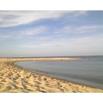 ZDJĘCIA Z TEGO TELEFONU