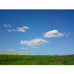 Zdjęcia użytkowników Sony Ericsson K550i