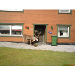 Zdjęcia użytkowników Sony Ericsson K550i