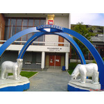 Zdjęcia użytkowników Sony Ericsson K550i