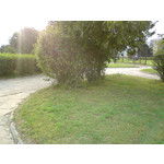 Zdjęcia użytkowników Sony Ericsson K550i